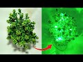 LED Project on 🌲 tree| Crazy Experiment IND