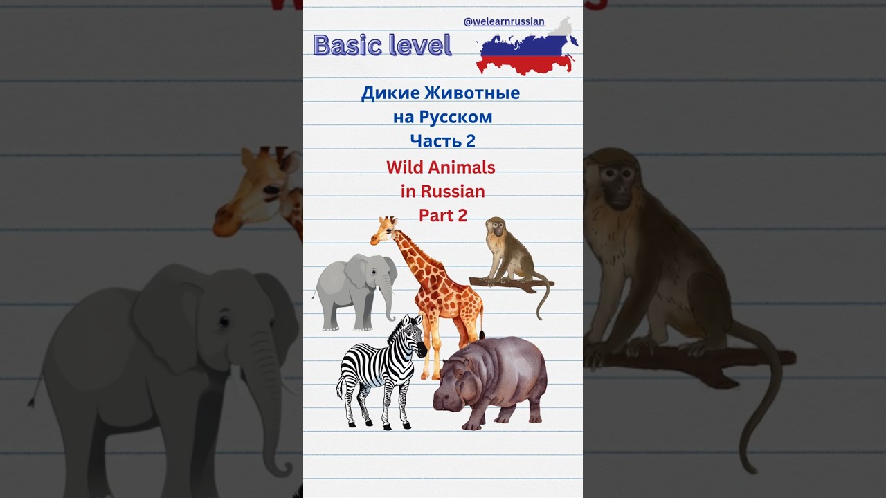 Wild Animals in Russian Part 2: Vocabulary for Beginners 