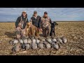 Hunting Geese in Tough Conditions and Getting it Done!! Goose Hunting 2020