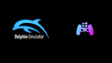 Dolphin Motion Controls Guide (Updated Version)