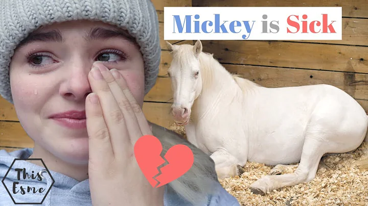 Mickey is sick.. This has been the hardest video t...