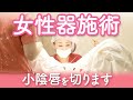 【小陰唇縮小】女性器施術ってどんな施術?|女性のデリケートゾーンの悩み解決編