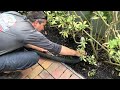 How to Use Viper Drainado™ 15-in-1 Vacuum Adapter