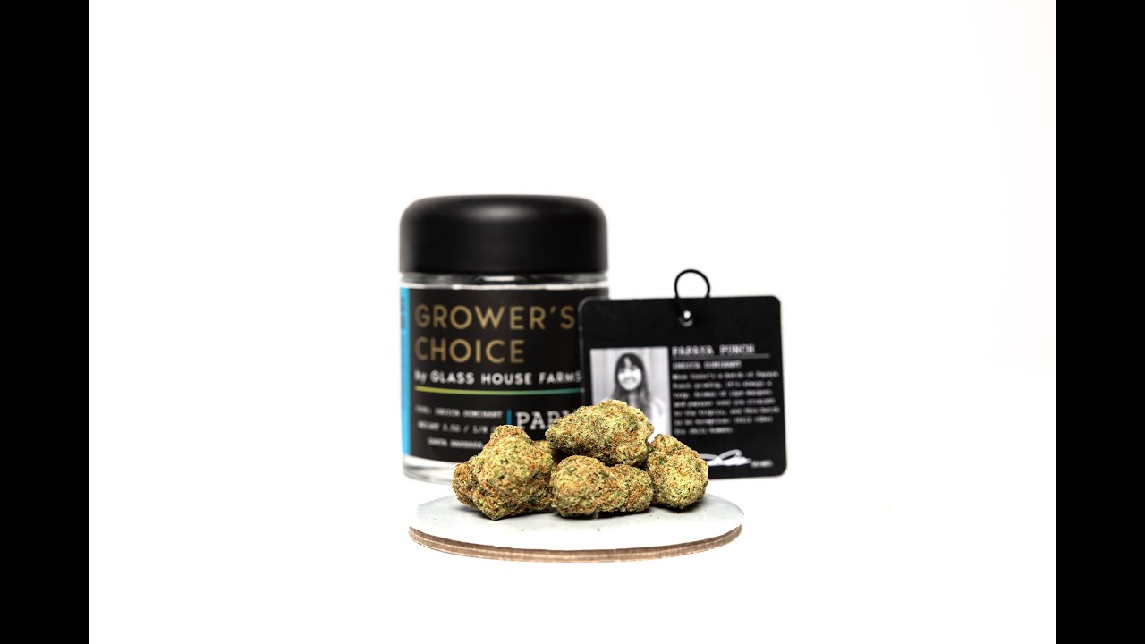 The Papaya Punch Strain Review Featuring Glasshouse Farms Grower's