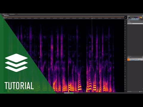 Fixing Unwanted Plosive Sounds and LF Control | SpectraLayers Elements Tutorials