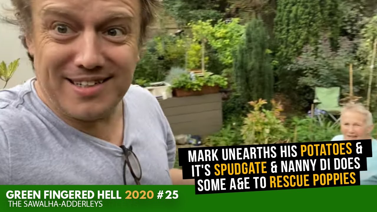 GFH 2020 #25 Mark Unearths His Potatoes & It's SPUDGATE & Nanny Di Does Some A&E to RESCUE Poppies