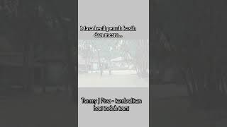 Tommy J Pisa  Kembalikan Hari Indah Kami