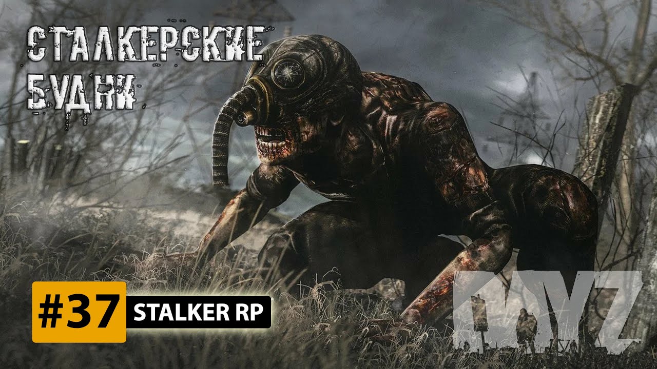 Легаси сталкер рп