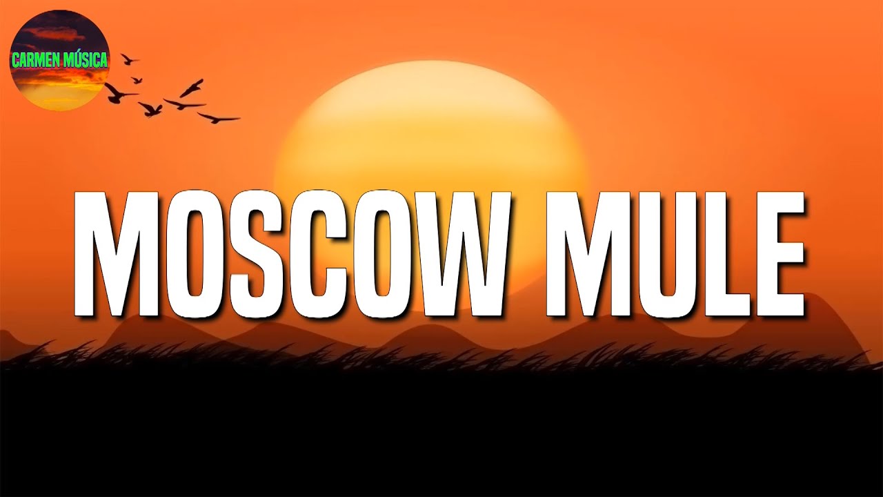 [Loop 1 Hour] 🎵 Reggaeton ||Bad Bunny - Moscow Mule (Letras\Lyrics)