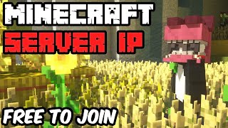 New Minecraft Server To Join! (OpLegends) - Bedrock & Java