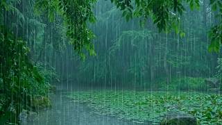 Wash Away Stress with Soothing Rain in a Lotus Pond | ASMR Forest Rain, Deep Sleep screenshot 3