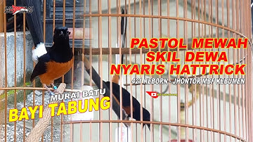 DILUAR NALAR, MURAI BATU BAYI TABUNG NYARIS HATTRICK TERNYATA PASTOL // 421 REBORN - JHONTOR MBF