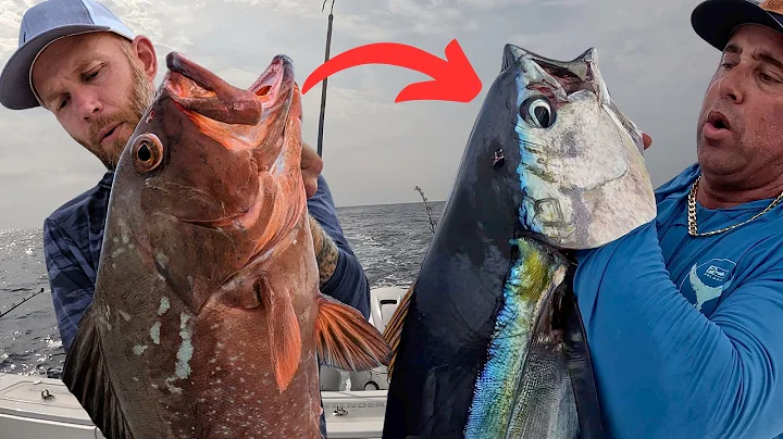 TUNA OR GROUPER?? Our 14-Hour, 100-Mile Quest to Land Both!!   Sebastian inlet Florida fishing