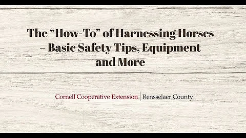 The "How-To" of Harnessing Horses- Basic Safety Tips, Equipment and More