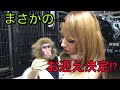 新しいペットお迎えなるか⁉️【珍獣&爬虫類】