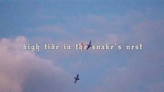 high tide in the snake’s nest - (Official Lyric Video)