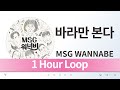 {1 Hour Loop} MSG WANNABE (MSG 워너비) - 바라만 본다 / 1시간 반복 음악 듣기, 가사 [K-Pop (가요)]