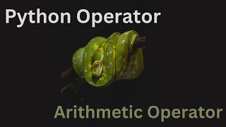 Celebrity Python Arithmetic Operator Wealth