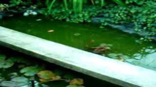 Bild 018.avi