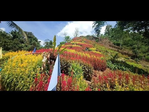 ANTIPOLO NEW TOURIST DESTINATION IN BUENAVISTA AGUSAN DEL NORTE