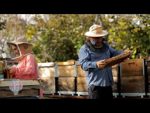 #ამშაბათკვირას ნანი ხომასურიძე - 22 წლის მეფუტკრე