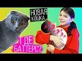 ВЗЯЛИ НОВОГО КОТЕНКА? | БАТТЕРС ВЕРНУЛАСЬ?