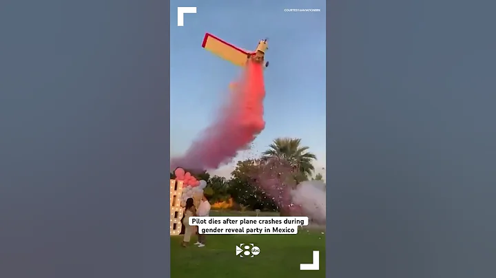 Pilot dies after plane crashes during gender reveal party in Mexico