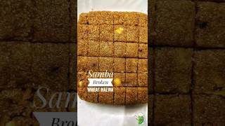 Samba Broken Wheat Halwa|ഗോതമ്പ് നുറുക്ക് ഹൽവ|Navaraatri sweets Special|EPISODE 7|Indian dessert ?