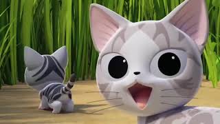 Funny Cats CARTOON