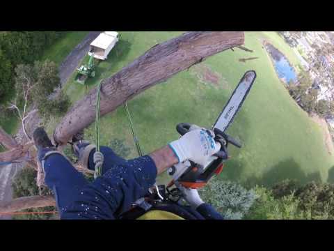 Solo Rigging