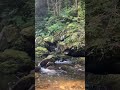 #love#viral#vlog#song#trending #bhakti#gurbani#travel#river#lake  #shorts#nature#beach#waterfall