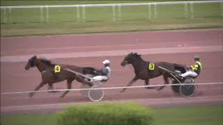 Vidéo de la course PMU PRIX DE L'AMITIE FRANCO-SUISSE