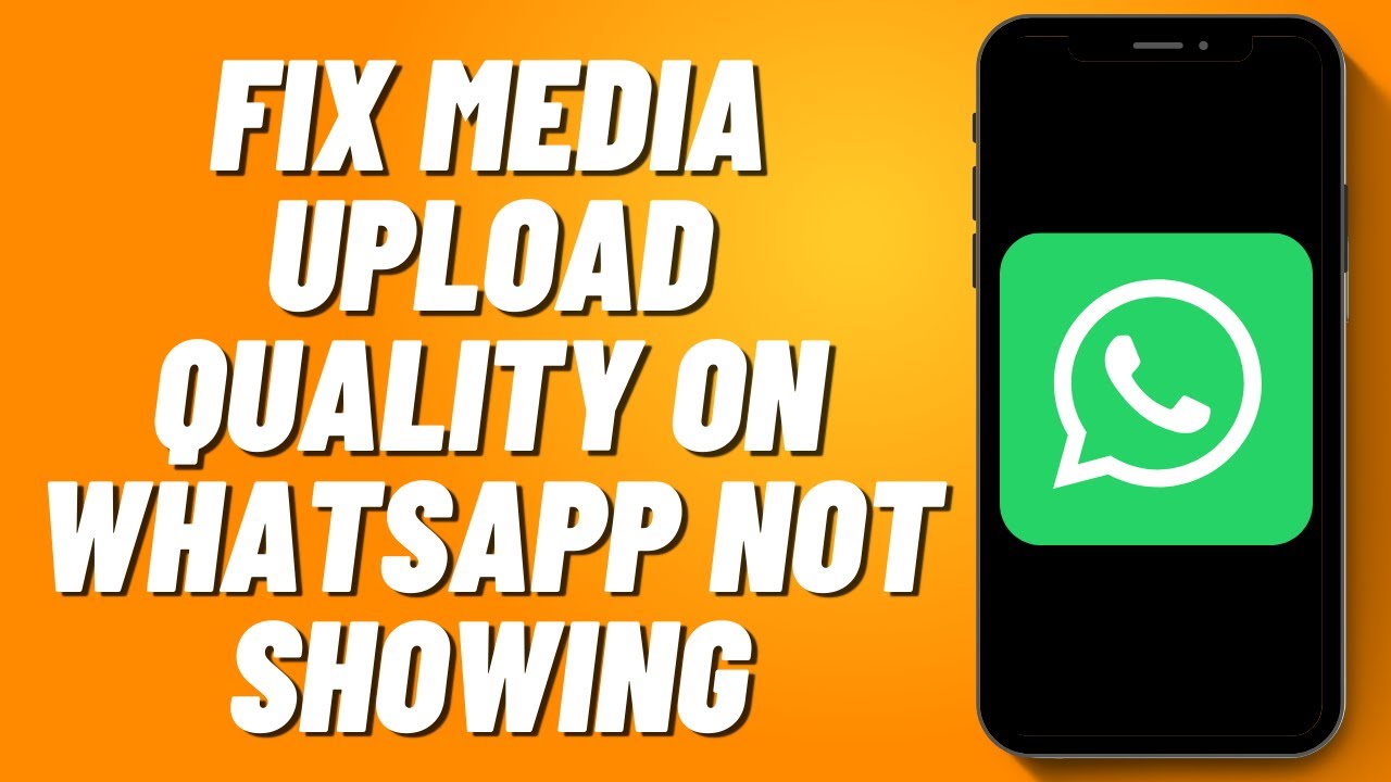 How to Fix Media Upload Quality on Whatsapp Not Showing in iPhone (2024) YouTube