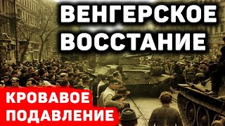 Как подавили Венгерское восстание