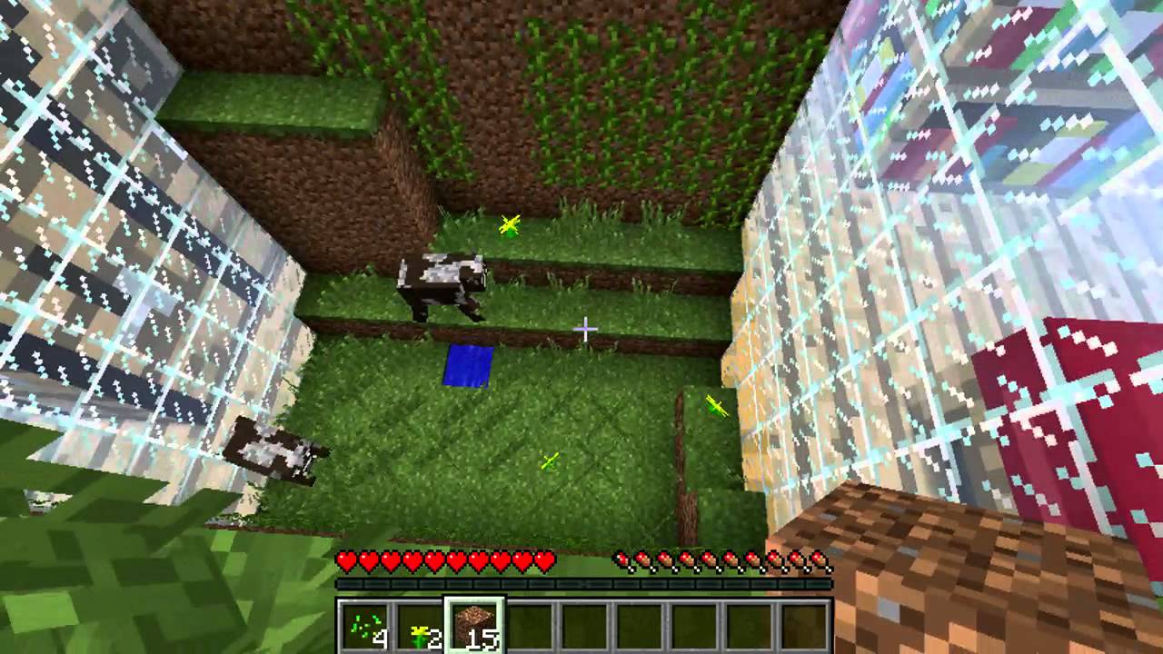 unable to play minecraft ant farm