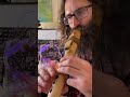 A duet with reishi