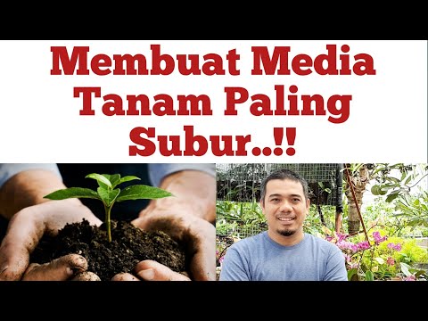 Media Tanam yang subur untuk semua tanaman, Cara membuat media tanam pot dan polybag yang Terbaik..!