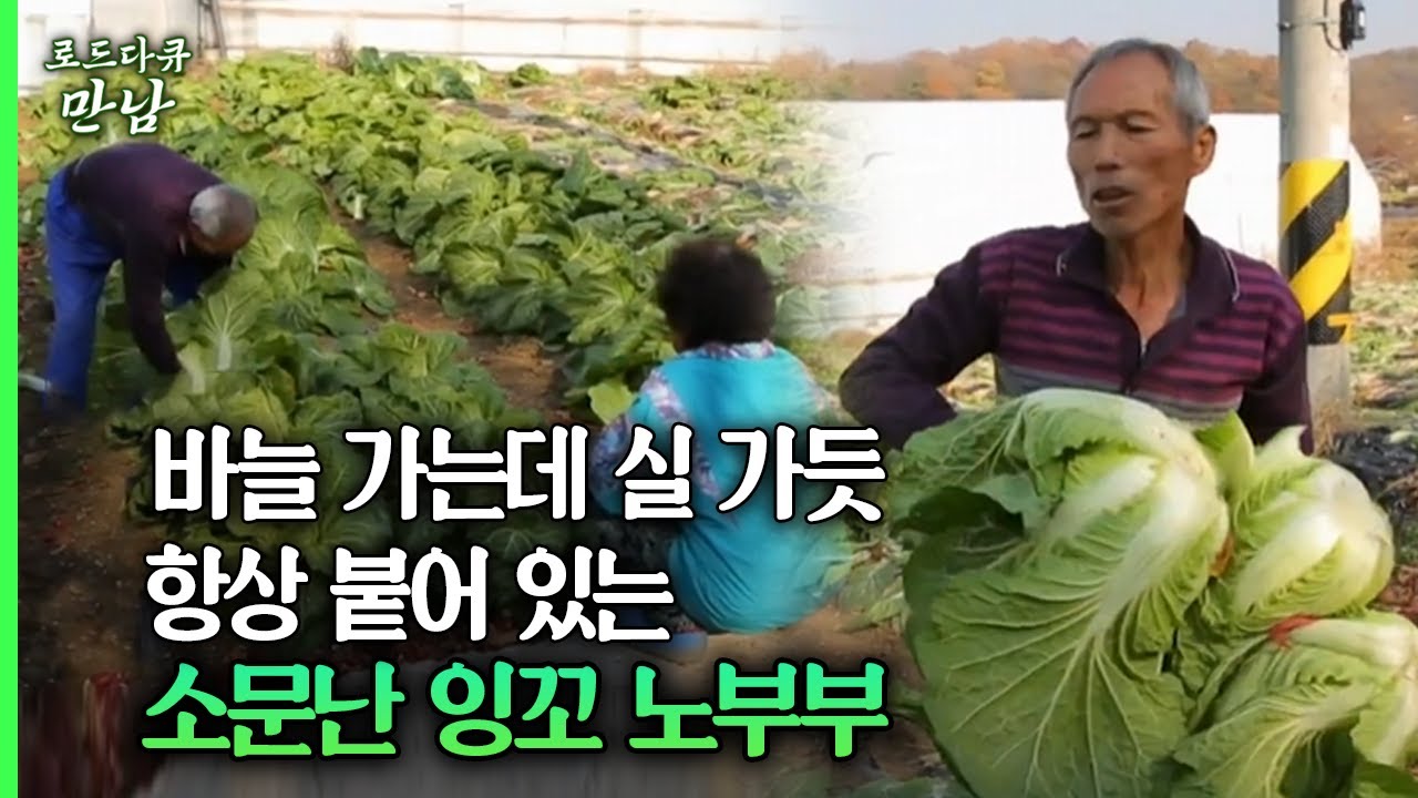 [로드다큐 만남 59회①] 바늘 가는데 실 가듯 항상 붙어 있는 소문난 잉꼬 노부부