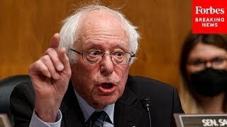 ‘How Do We Solve It?’: Bernie Sanders Grills Witnesses On The Dental Health Crisis In The Us