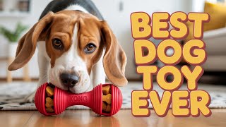 KONG Classic Dog Toy – Durable Treat-Dispensing Chew Toy
