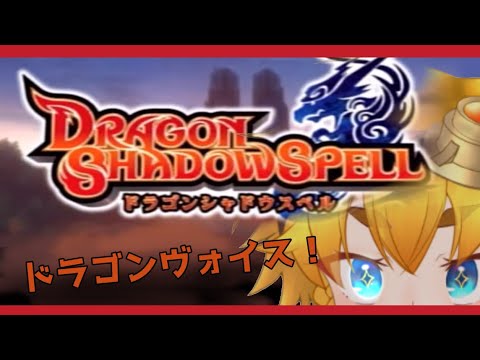 【ドラゴンシャドウスペル】つづき。