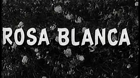 ROSA BLANCA. Cinema Planeta 2011.