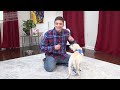 How to Train your Puppy to Stop Biting