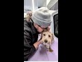 My new video