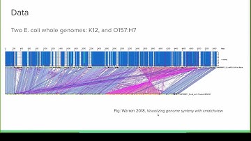 "Introductory course on sequence graphs representations" - Rayan Chikhi #IntroductionToPangenomics