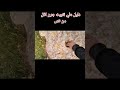 دلالة الجرون في الكنوز دلالة الجرون في الكنوز