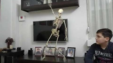 FxGuru Video - Dancing Skeleton