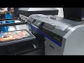 Impresora DTG. Impresión directa a la tela. En vivo.
