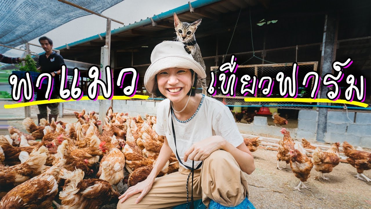 My Kid Ep. 2 - พาแมวแอ่วฟาร์ม ห่านไล่จิก! | Bring My Cat to A Farm!