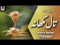    تال مکھانہ
